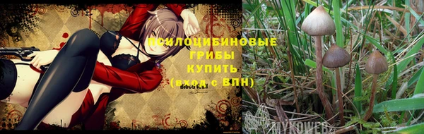 mix Баксан